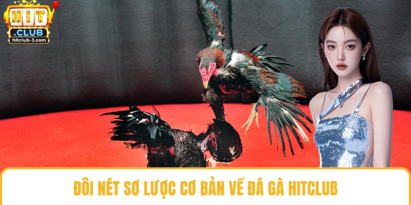 Đôi nét sơ lược cơ bản về đá gà Hit club