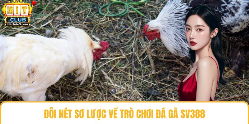 Đôi nét sơ lược về trò chơi đá gà SV388