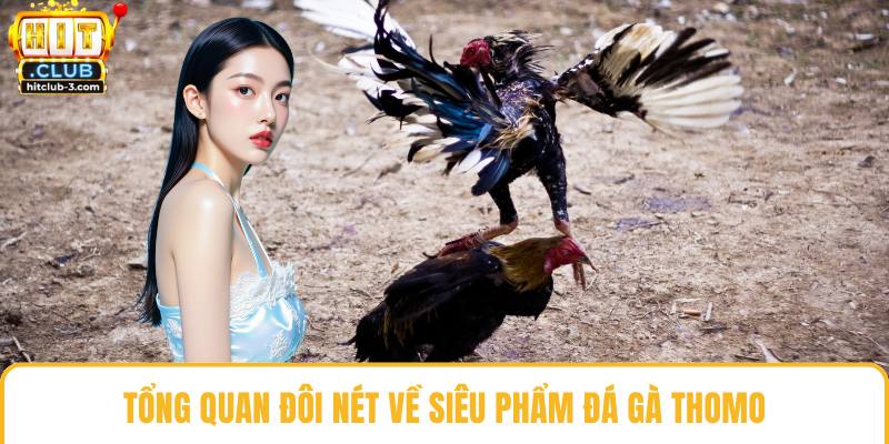 Tổng quan đôi nét về siêu phẩm đá gà Thomo
